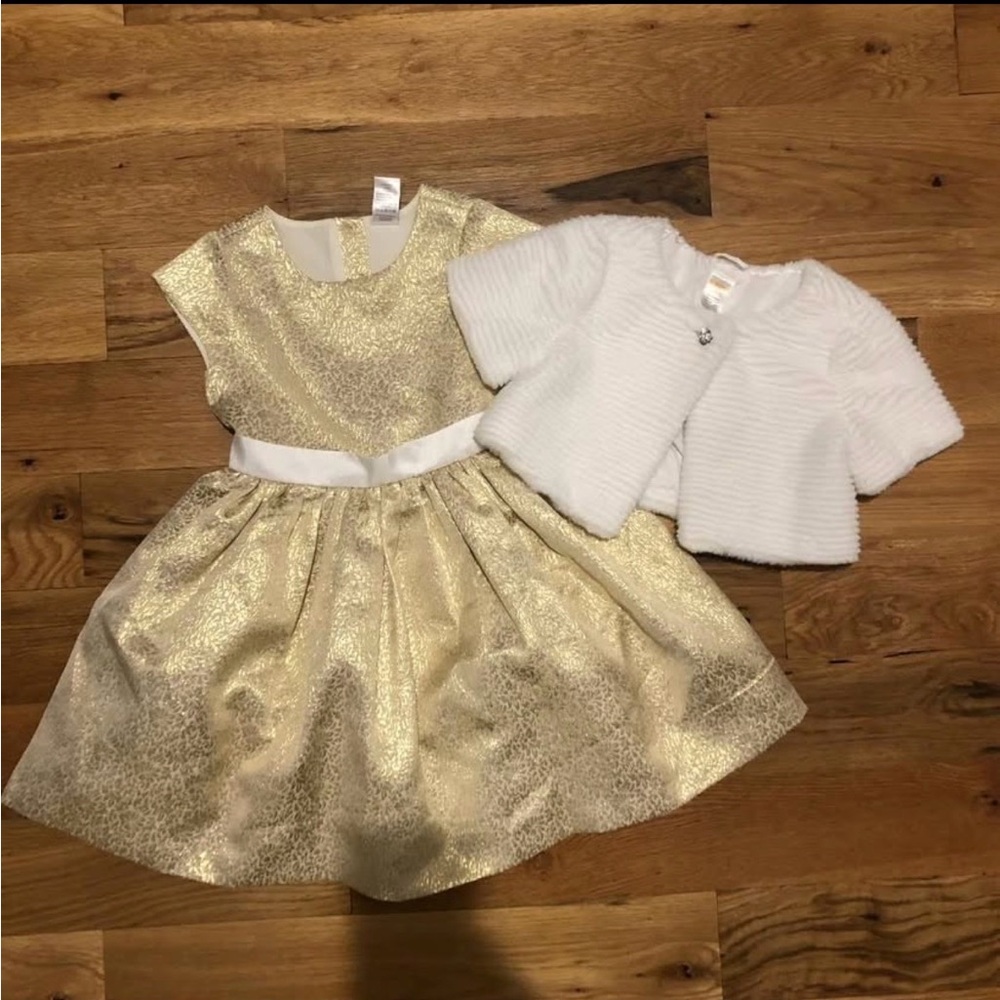 Holiday Gymboree Gold Dress & Fur Vest